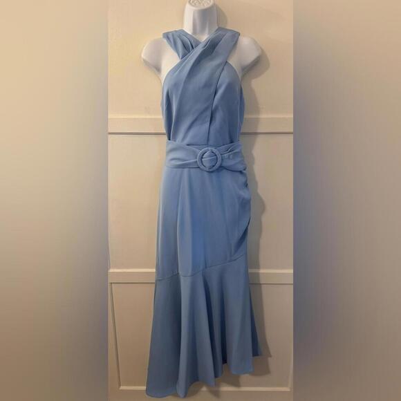 Sachin + Babi Sky Blue Midi Dress - Picture 4 of 5